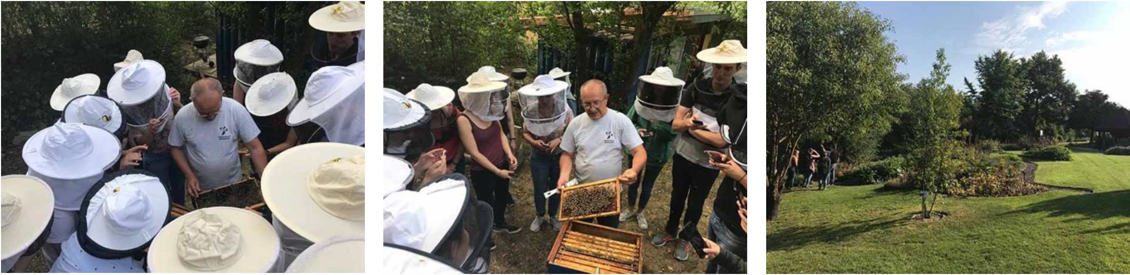 Bienengarten Projekt